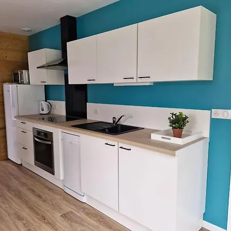 Magnifique Appartement Jonquille Xonrupt-Longemer Exterior foto