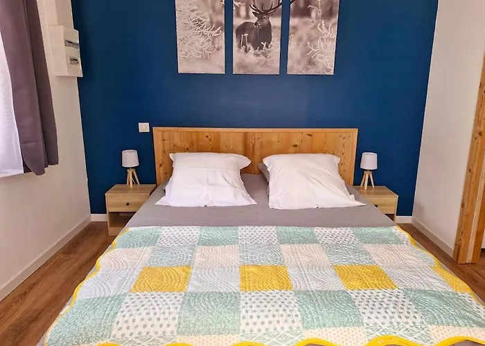 Magnifique Appartement Jonquille